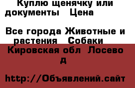 Куплю щенячку или документы › Цена ­ 3 000 - Все города Животные и растения » Собаки   . Кировская обл.,Лосево д.